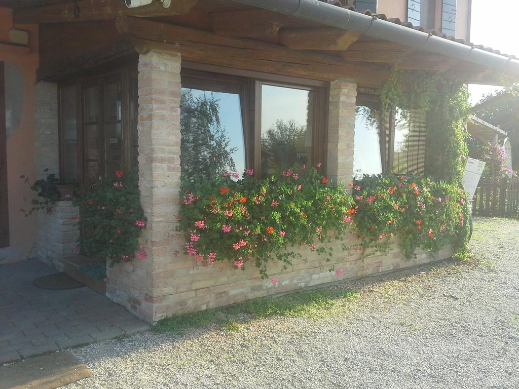 B&B Verde Venezia Mestre Esterno foto